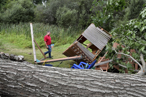 Homeowner Jon Freitag of 48 Lisa Drive in North Attleboro, Mass. surveys the damage in his backyard after high winds toppled a large oak tree, Friday, Aug. 18, 2023.