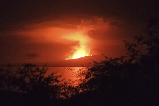 Galapagos island volcano erupts, sends lava flowing to sea