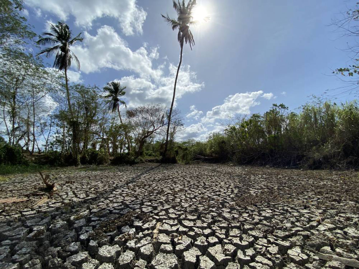 Gov’t to act promptly on impact of dry season, says Palace