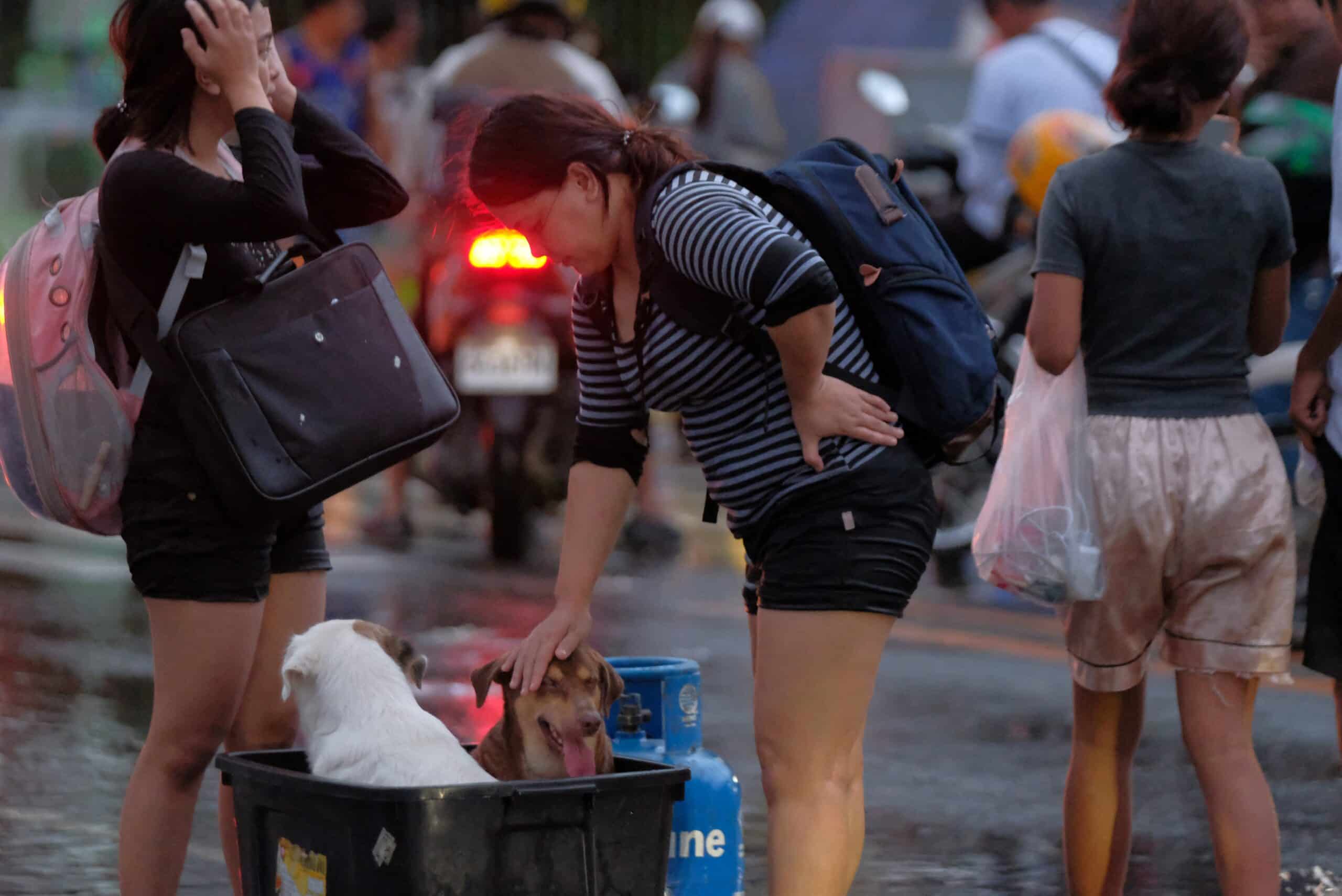 Peta appeals to evacuees: Don’t leave pets behind 