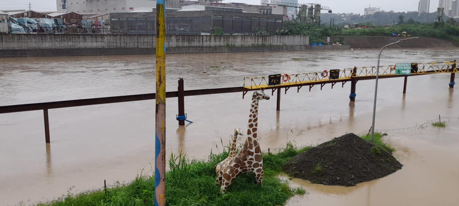 Marikina River reaches 3rd alarm