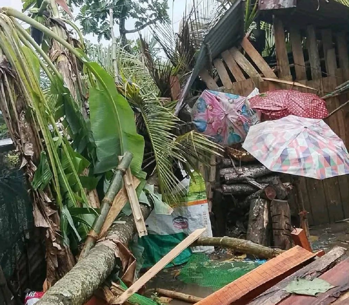 1 hurt as tree fell on stalls in Zamboanga del Sur town