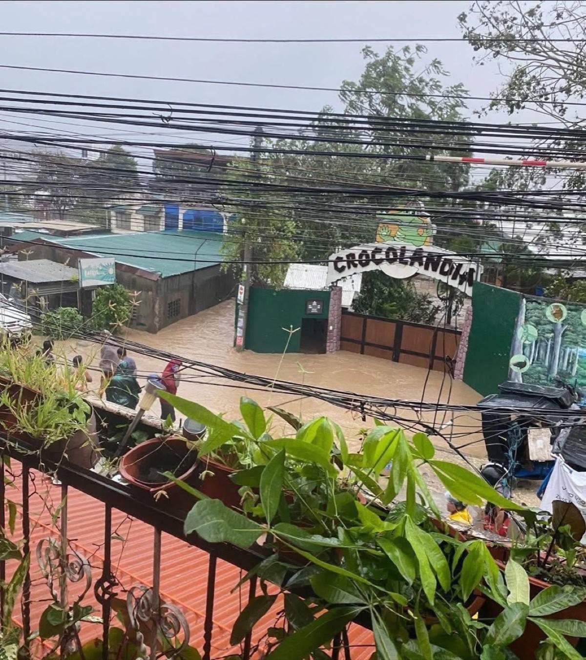 No croc escape confirmed, but Talisay City moves fast to avert disaster