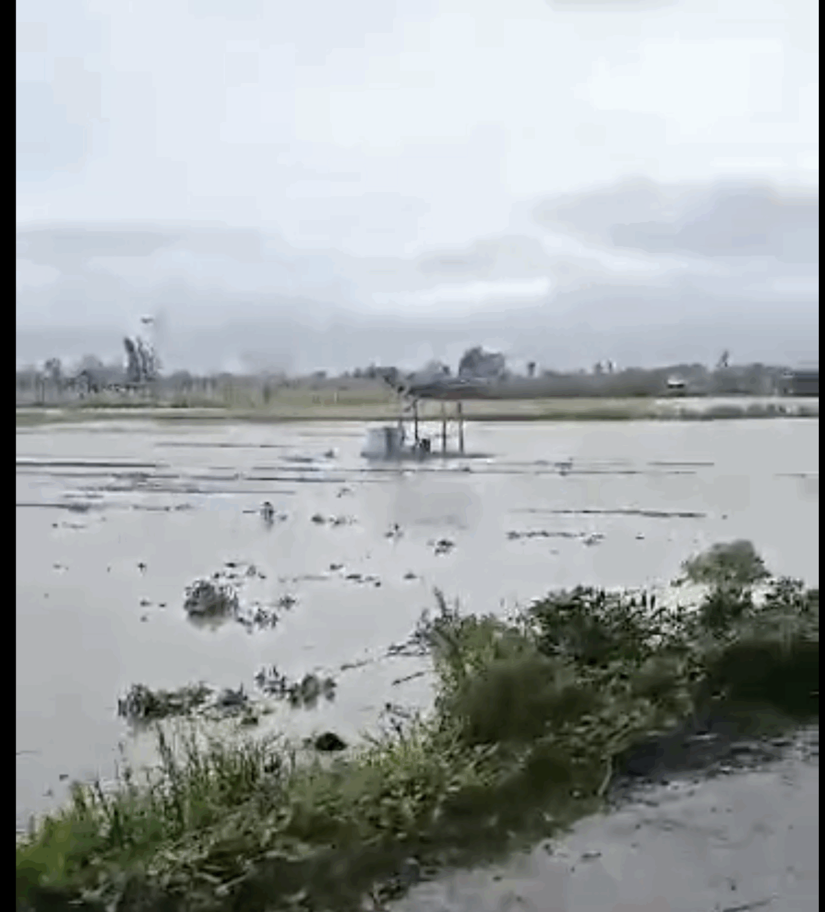 Uwan wipes out N. Ecija vegetable crops, farmers brace for price surge