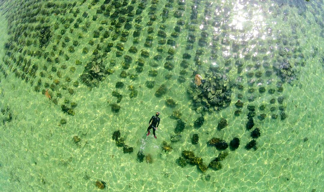 Playground of giant clams | INQUIRER.net